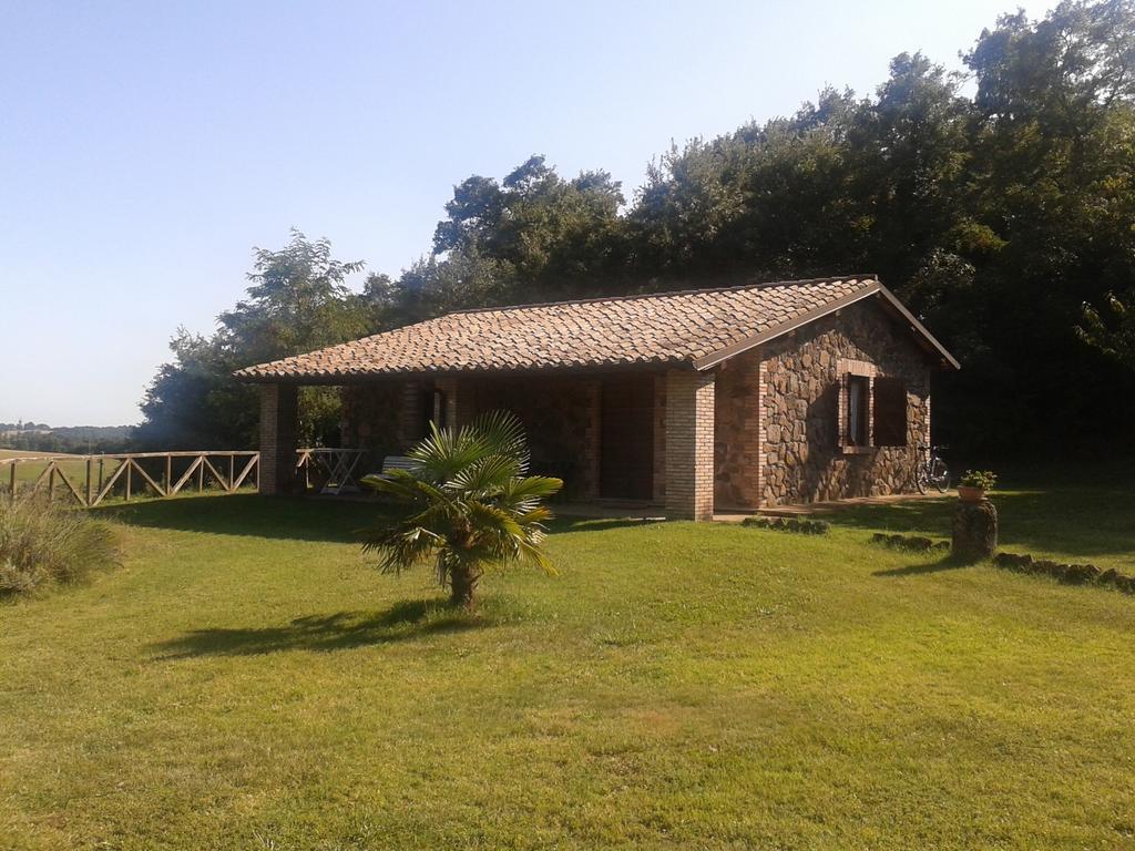 Agriturismo Il Morello アックアペンデンテ エクステリア 写真