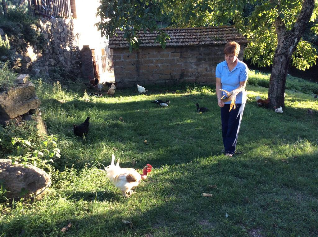 Agriturismo Il Morello アックアペンデンテ エクステリア 写真