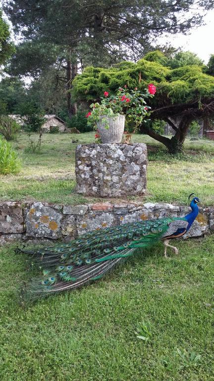 Agriturismo Il Morello アックアペンデンテ エクステリア 写真