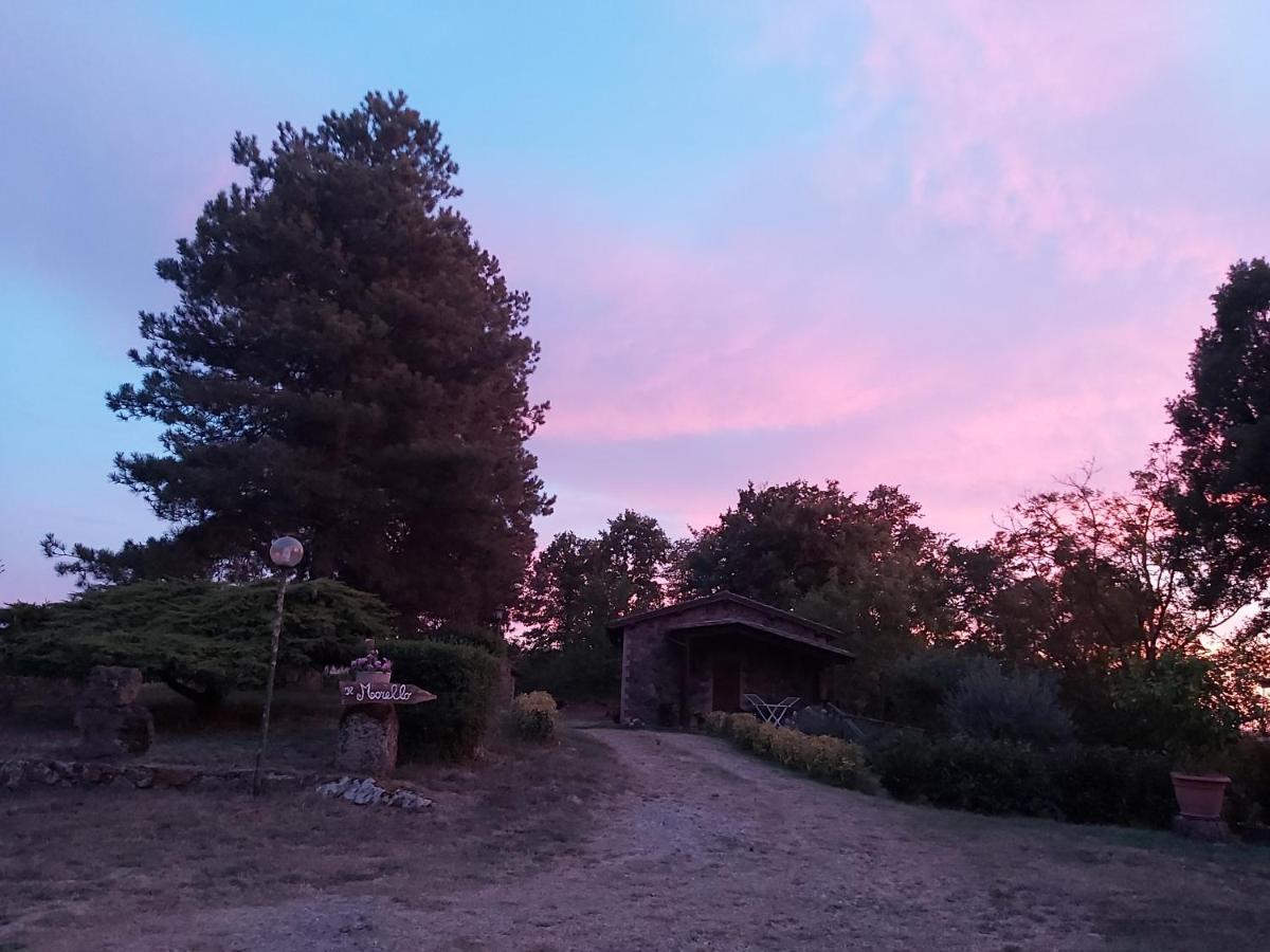 Agriturismo Il Morello アックアペンデンテ エクステリア 写真