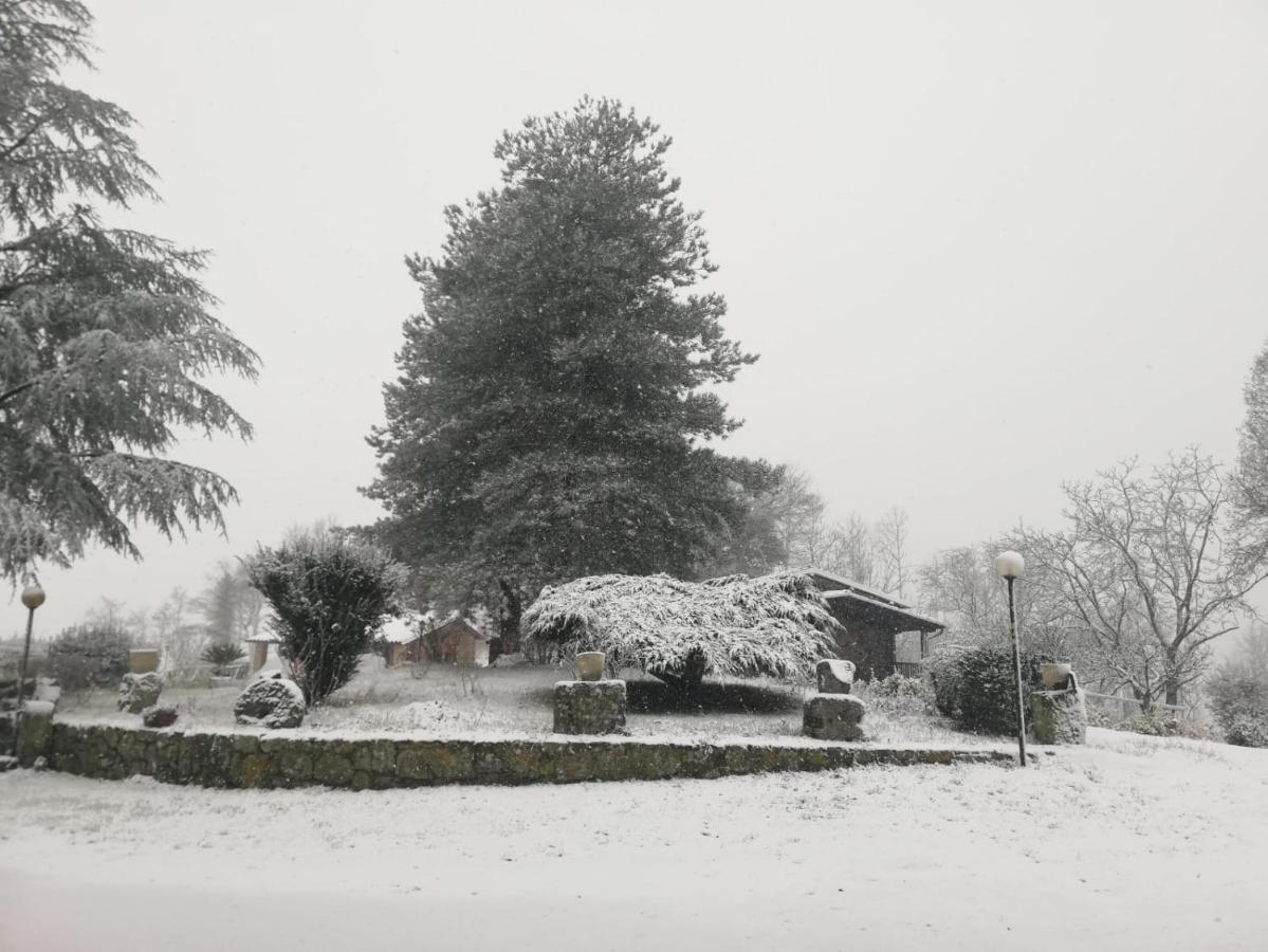 Agriturismo Il Morello アックアペンデンテ エクステリア 写真