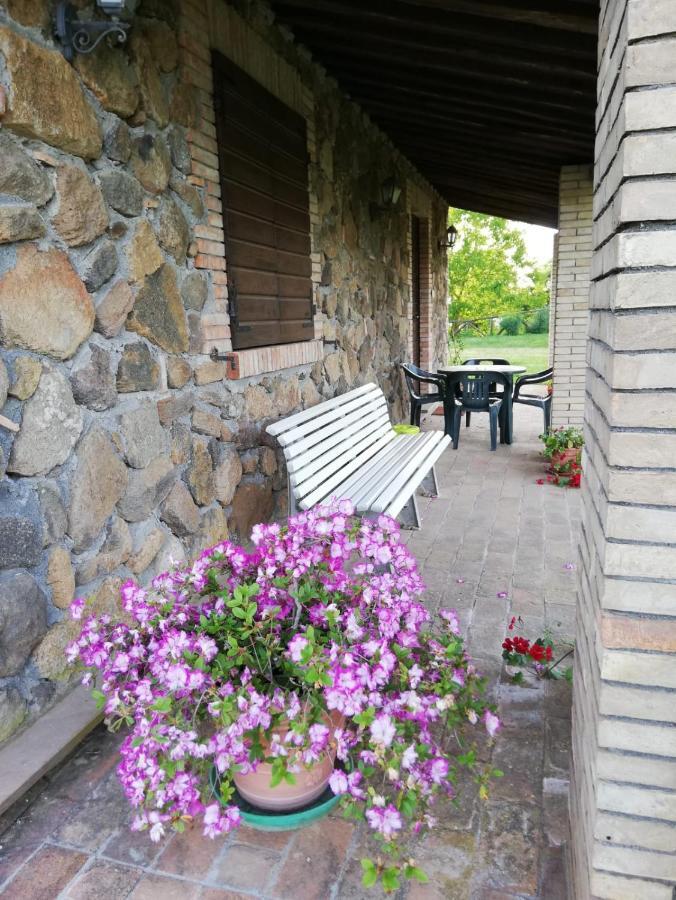 Agriturismo Il Morello アックアペンデンテ エクステリア 写真